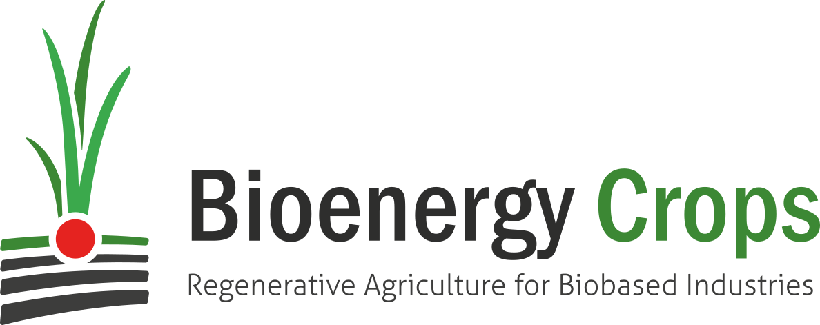 Cultivos bioenergéticos